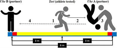 Influence of Judo Experience on Neuroelectric Activity During a Selective Attention Task